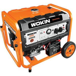 GENERATORE CORRENTE 791255...