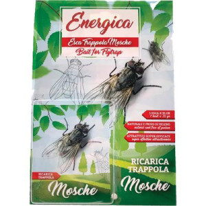 ESCA TRAPPOLA MOSCHE...