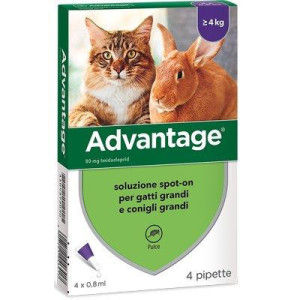 ANTIPARASSITARIO ADVANTAGE...