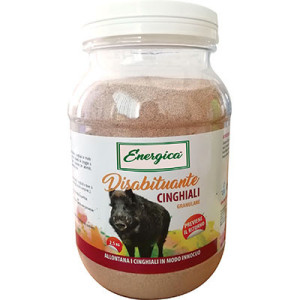DISABITUANTE CINGHIALE...