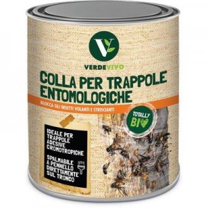COLLA MOSCHE E INSETTI...