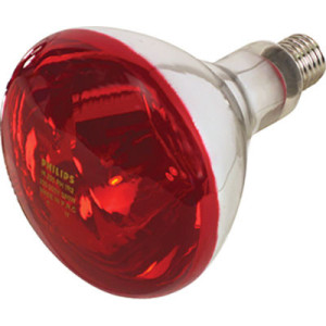 LAMPADA RIFLETTORE PULCINI...