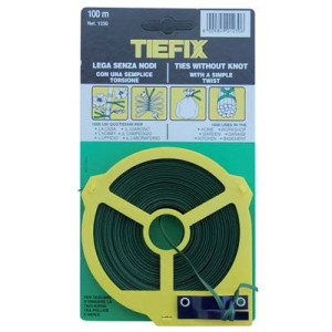 PIATTINA ANIMATA PVC...