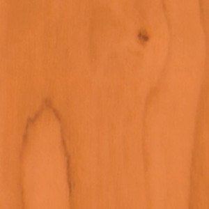 PLASTICA ADESIVA LEGNO...