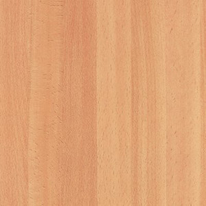 PLASTICA ADESIVA LEGNO...