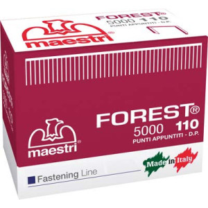 PUNTO FOREST 110 X...