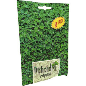 SEME PRATO DICHONDRA REPENS...