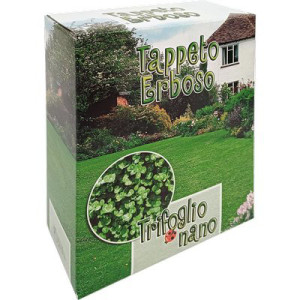 SEME PRATO TRIFOGLIO REPENS...