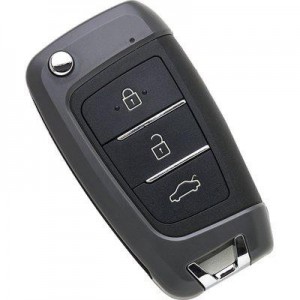 TELECOMANDO AUTO...