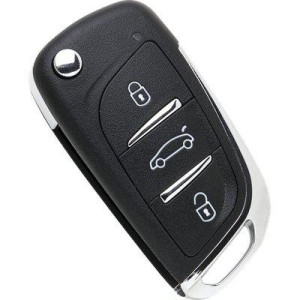 TELECOMANDO AUTO...