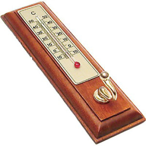 TERMOMETRO PRONTY LEGNO...