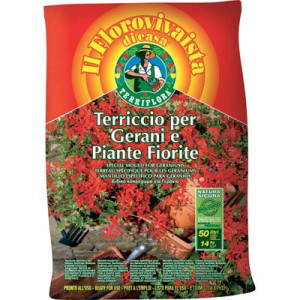TERRICCIO GERANI E PIANTE...