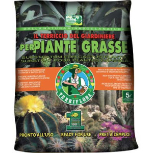 TERRICCIO PIANTE GRASSE...