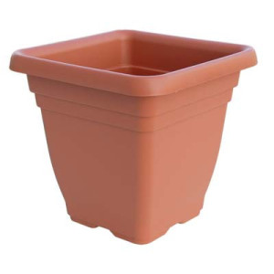 VASO QUADRO LAURUS ICS PP...
